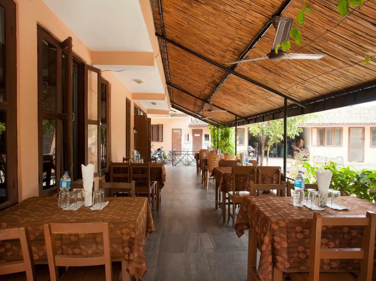 Spot On 486 Hotel Holy Lodge Sauraha Extérieur photo