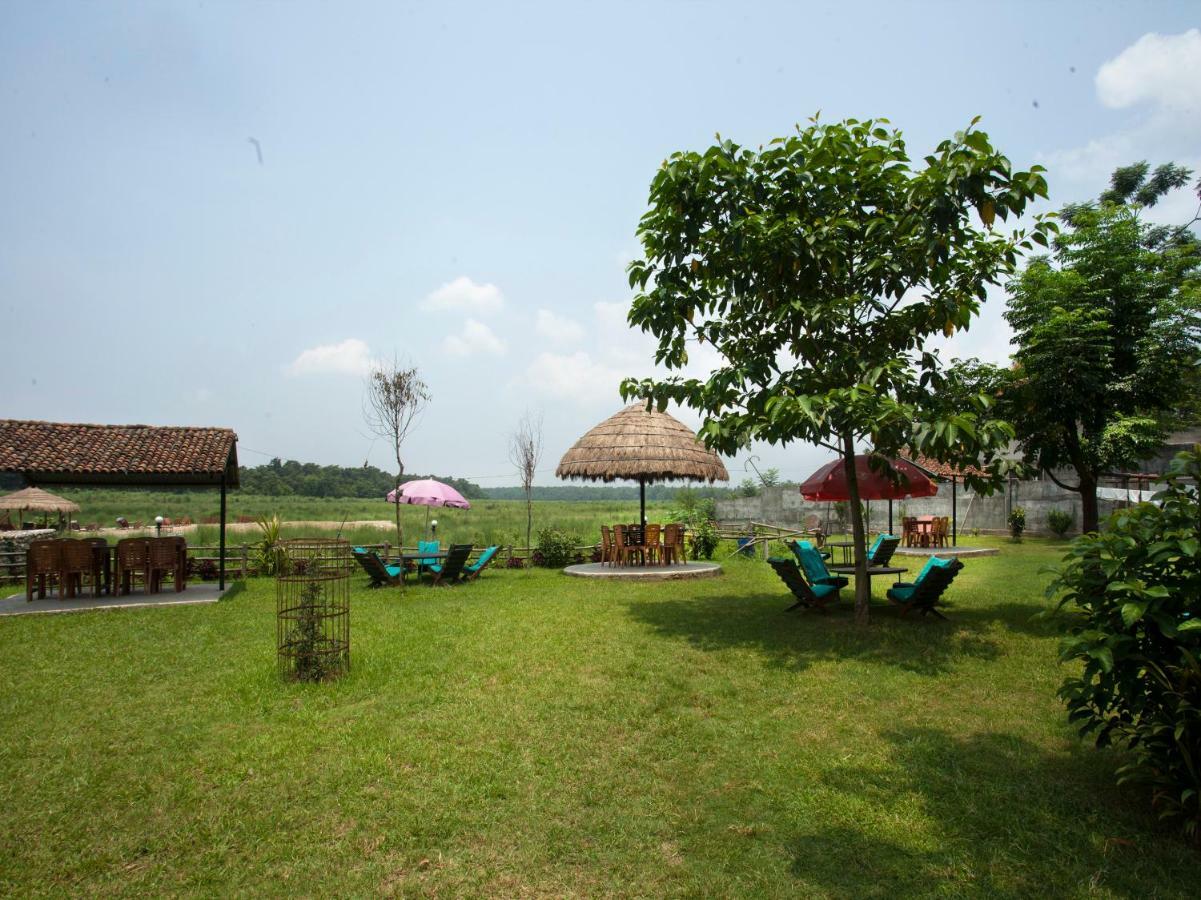 Spot On 486 Hotel Holy Lodge Sauraha Extérieur photo