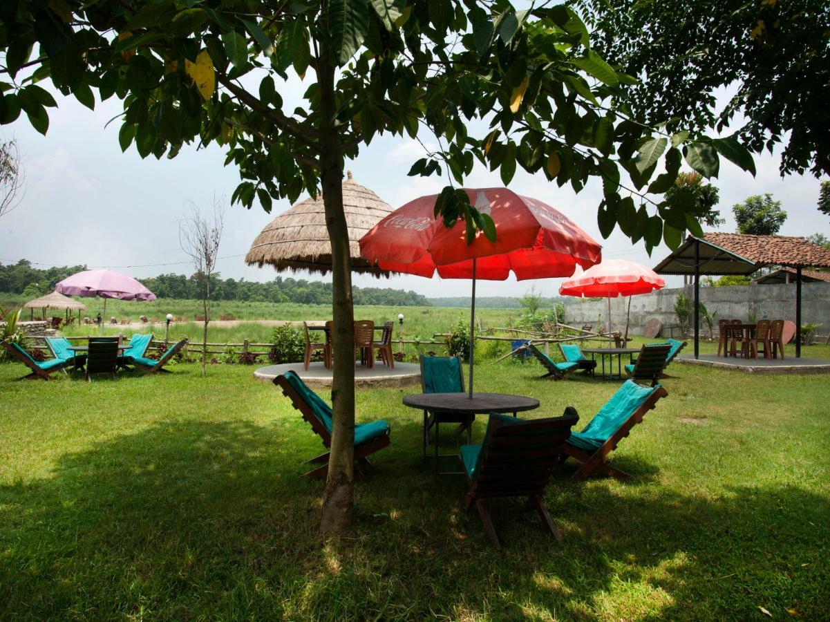Spot On 486 Hotel Holy Lodge Sauraha Extérieur photo