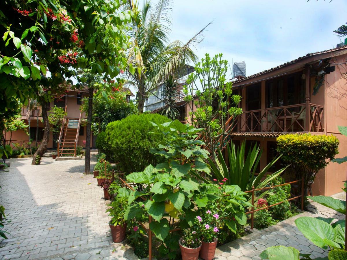Spot On 486 Hotel Holy Lodge Sauraha Extérieur photo