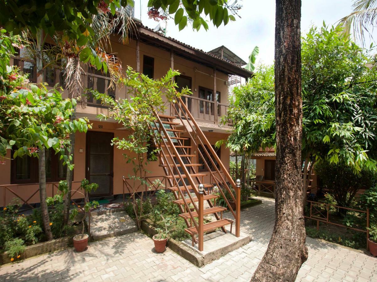 Spot On 486 Hotel Holy Lodge Sauraha Extérieur photo